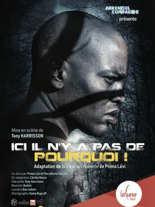 Affiche de Ici il n'y a pas de pourquoi !