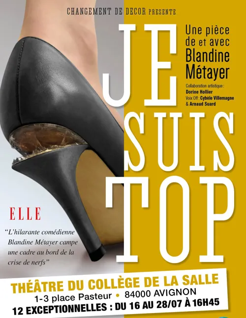 Affiche de Blandine Métayer dans Je suis Top !