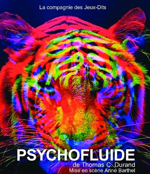 Affiche de Psychofluide