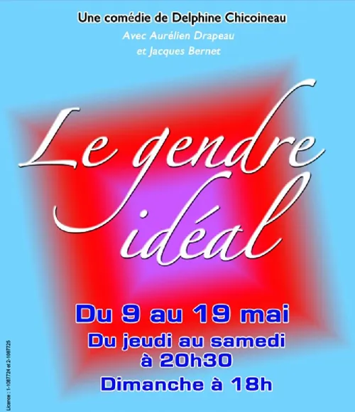 Affiche de Le gendre idéal