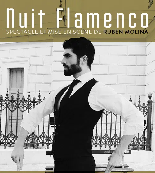 Affiche de Nuit Flamenco