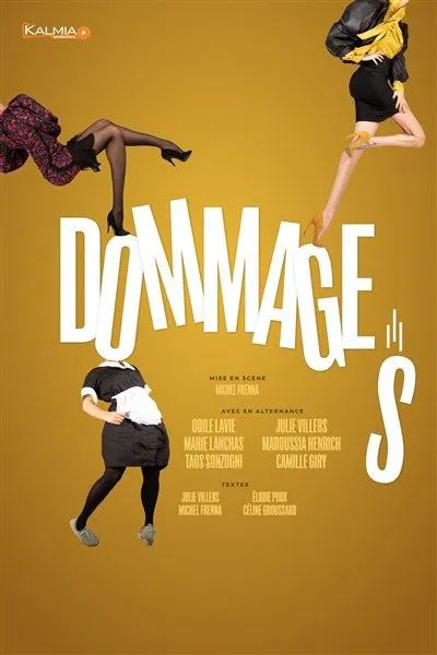 Affiche de Dommages