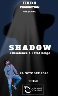 Affiche de L'insolence à l'état belge