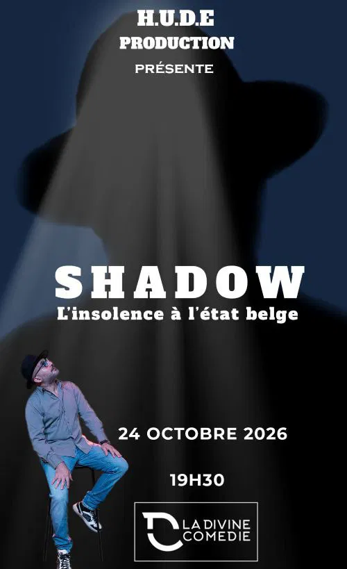 Affiche de L'insolence à l'état belge