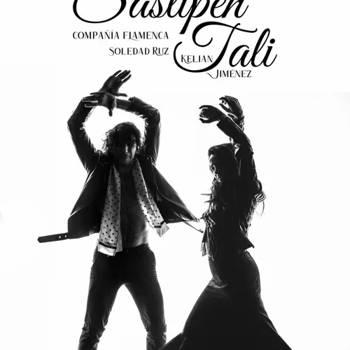 Affiche de Sastipen Tali
