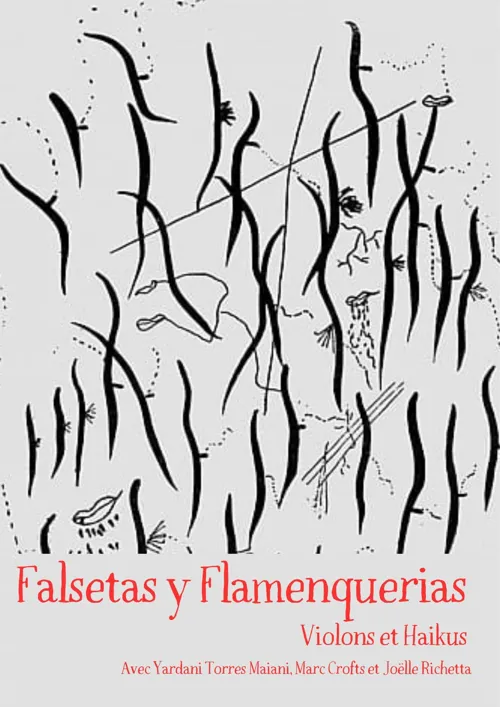 Affiche de Falsetas et Flamenquerias