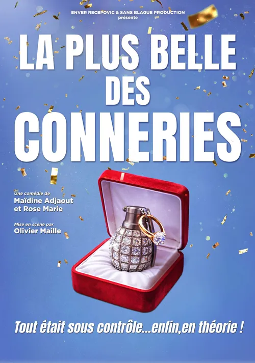 Affiche de La plus belle des conneries