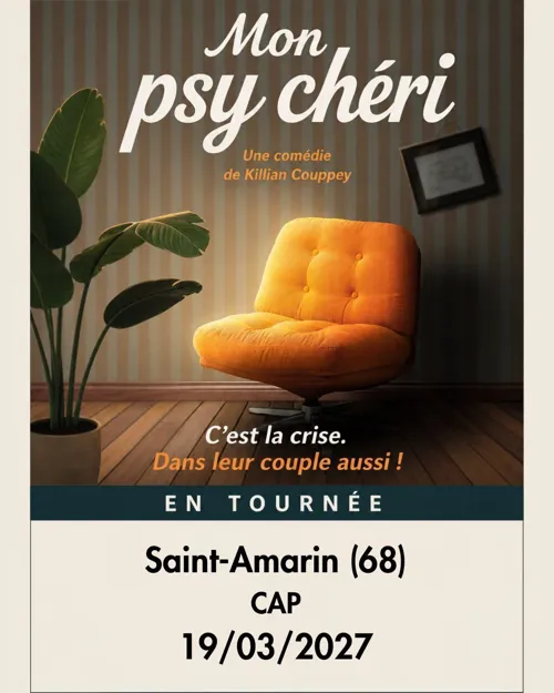 Affiche de Mon psy chéri