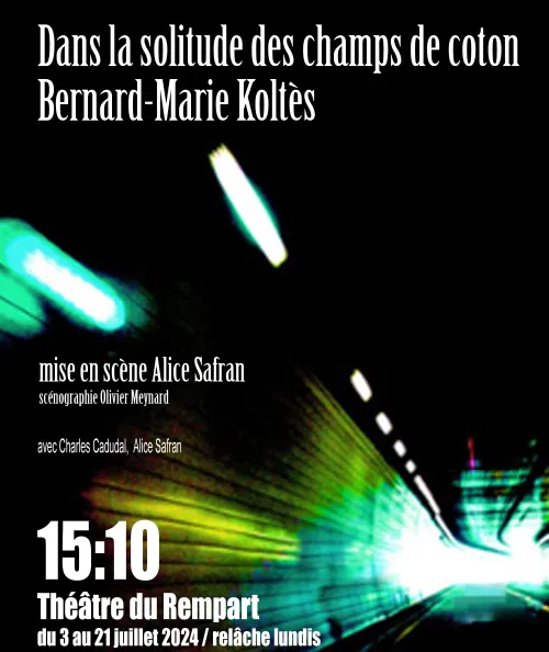 Affiche de Dans la solitude des champs de coton