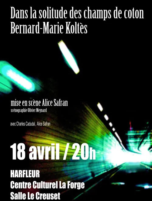 Affiche de Dans la solitude des champs de coton
