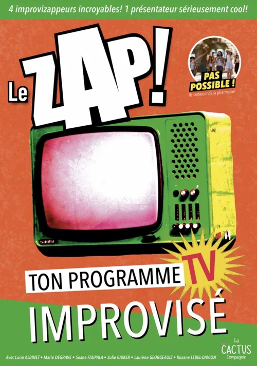 Affiche de Le Zap !