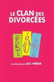Affiche de Le clan des divorcés