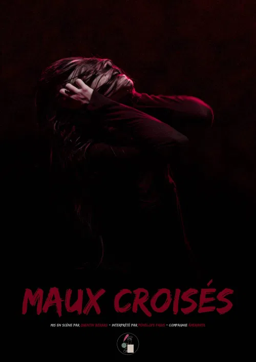 Affiche de Maux croisés