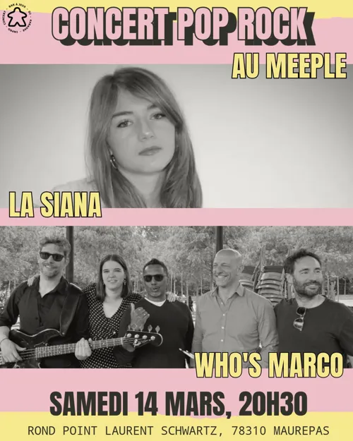 Affiche de Concert Pop Rock au Meeple