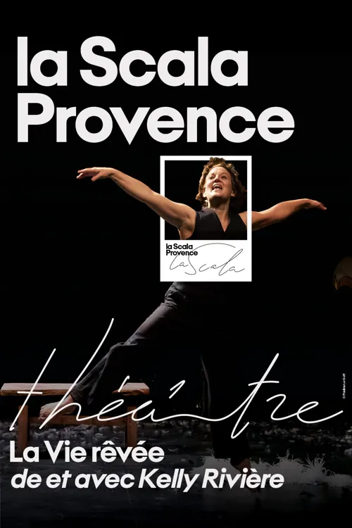 Affiche de La vie rêvée