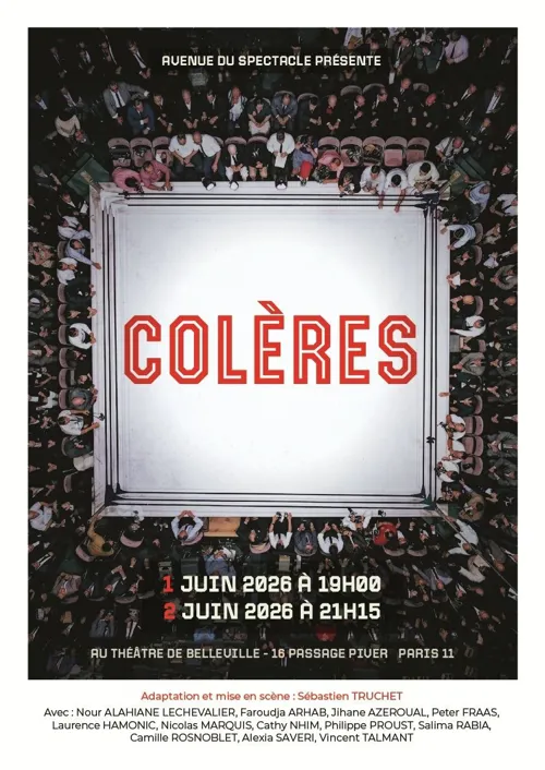 Affiche de Colères