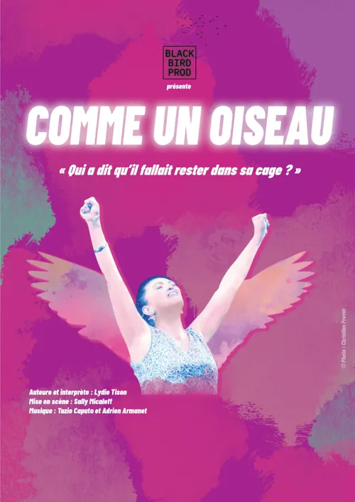 Affiche de Lydie Tison dans Comme un oiseau