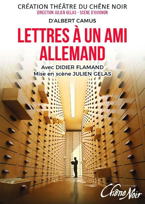 Affiche de Lettres à un ami allemand