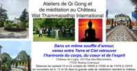 Atelier de qi gong et de méditation - 
