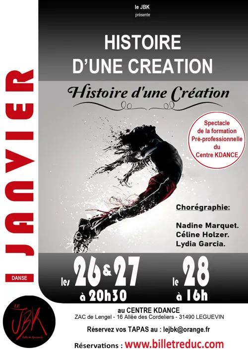 Affiche de Histoire d'une creation
