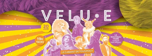 Affiche de Velu.e