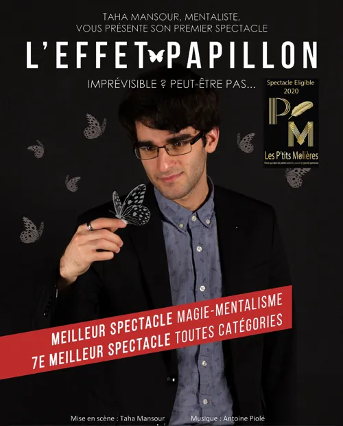 Affiche de L'effet papillon