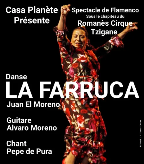 Affiche de La Farruca : Casa planète