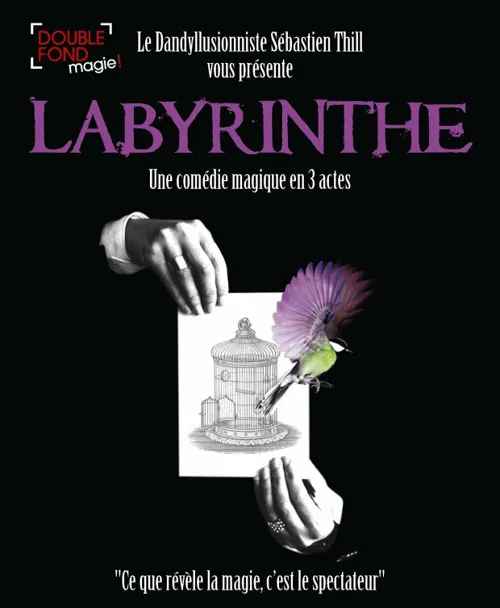 Affiche de Sébastien Thill dans Labyrinthe