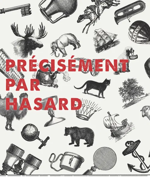 Affiche de Précisément par hasard