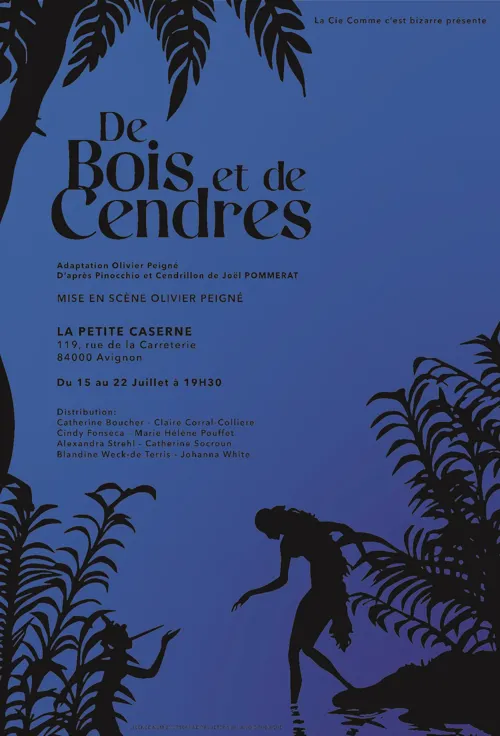 Affiche de De bois et de cendres