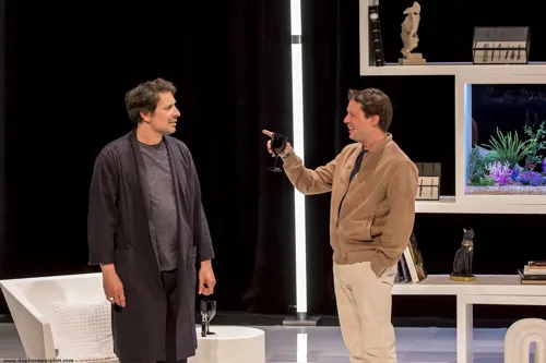 Photo 2 de Au Scalpel | avec Davy Sardou et Bruno Salomone