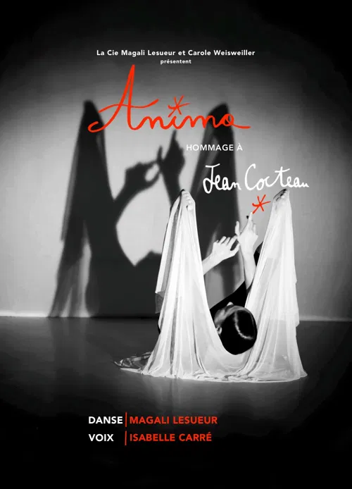 Affiche de Anima : Hommage à Jean Cocteau