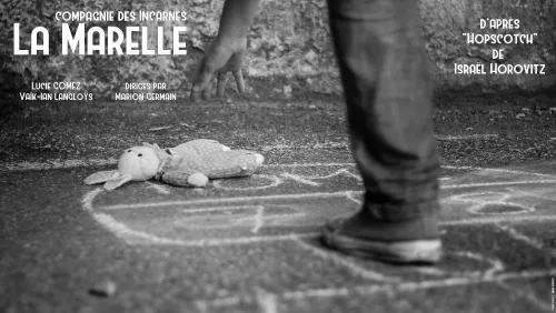 Affiche de La Marelle