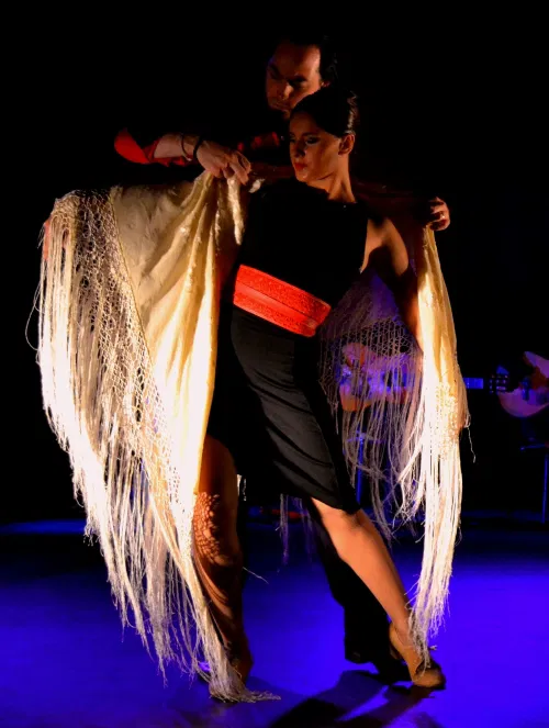 FLAMENCO LYON - AL ANDALUS FLAMENCO NUEVO