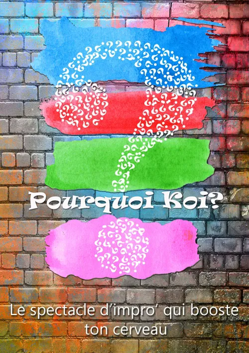 Affiche de Pourquoi koi ?