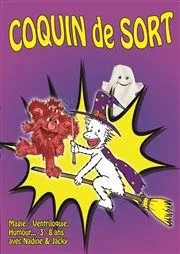 Affiche de Coquin de sort
