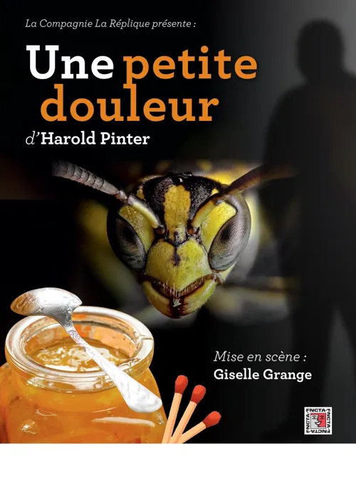 Affiche de Une petite douleur, d'Harold Pinter