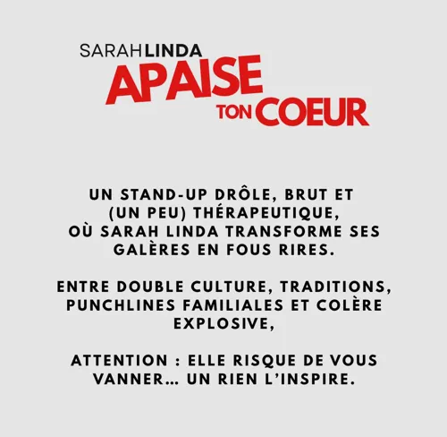 UN STAND UP DROLE, BRUT ET UN (PEU) THÉRAPEUTIQUE