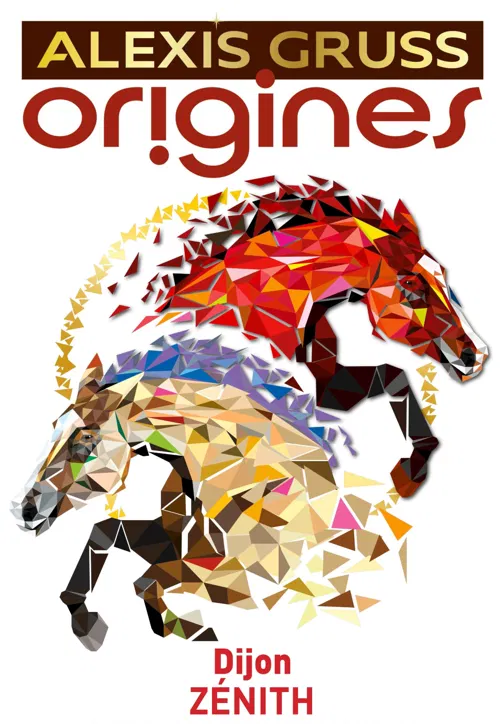 Affiche de Compagnie Alexis Gruss dans Origines | Dijon