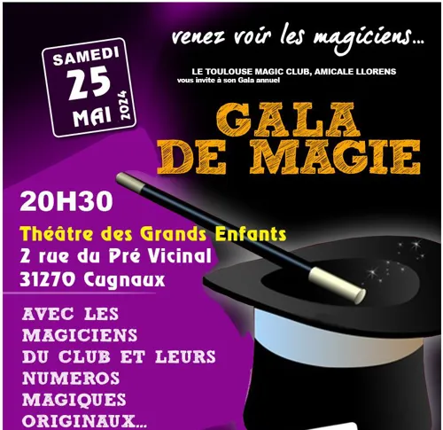 Affiche de Gala de Magie