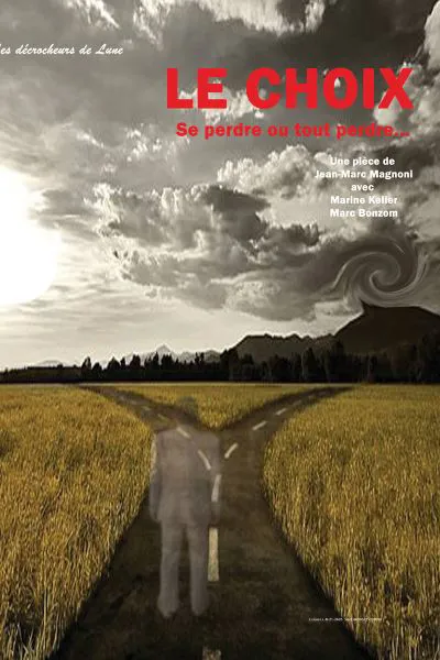 Affiche de Le choix