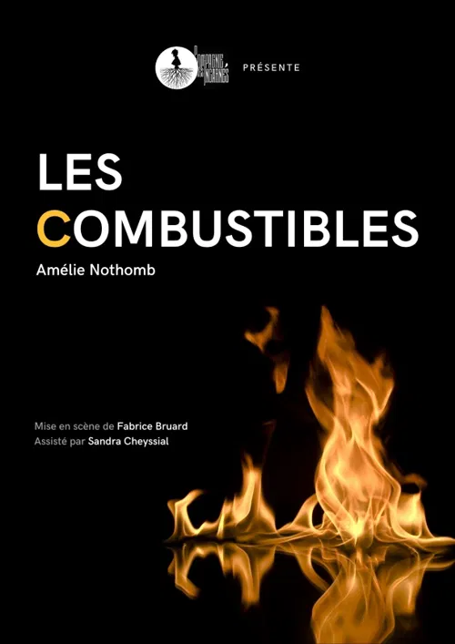 Photo 1 de Les Combustibles