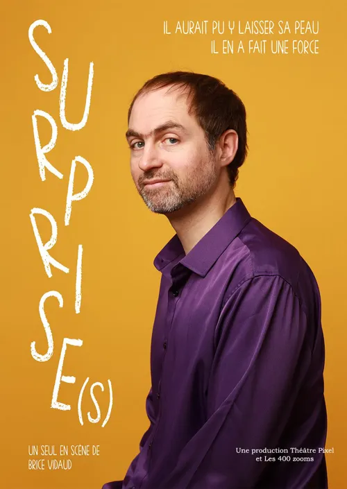 Affiche de Brice Vidaud dans Surprise(s)