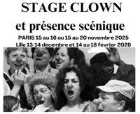 Stage clown & présence scénique - 