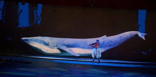 Photo 5 de L'Ecocirque 100% humain | Marseille