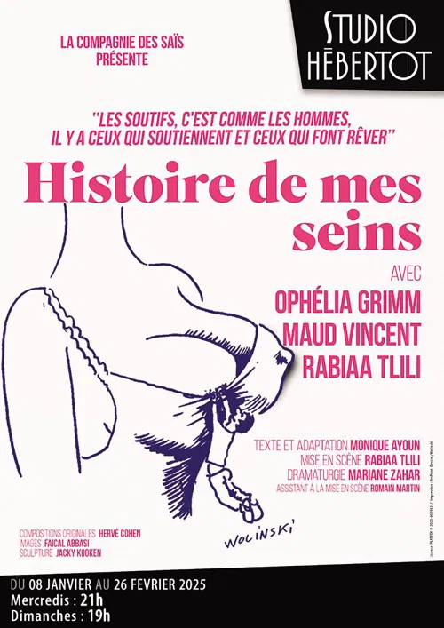 Affiche de Histoire de mes seins