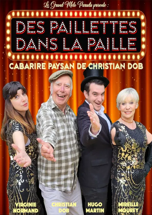 Affiche de Des paillettes dans la paille