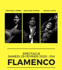 Soirée spectacle flamenco - 