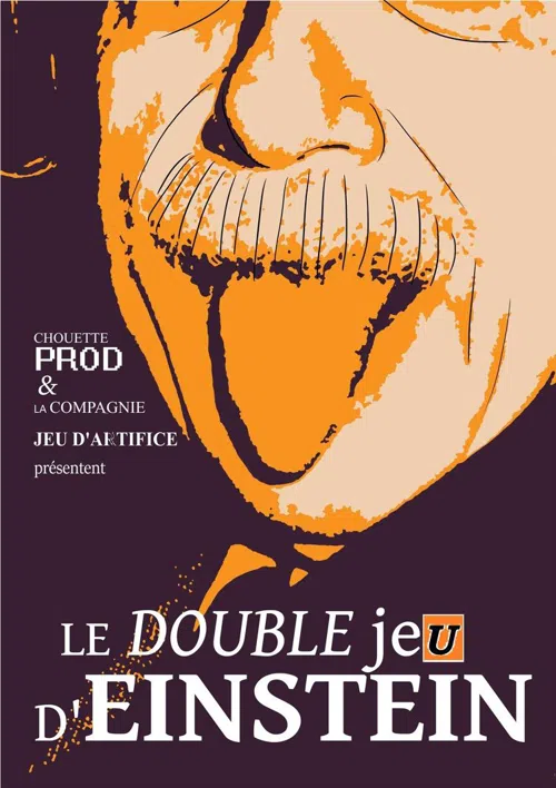 Affiche de Le double je(u) d'Einstein