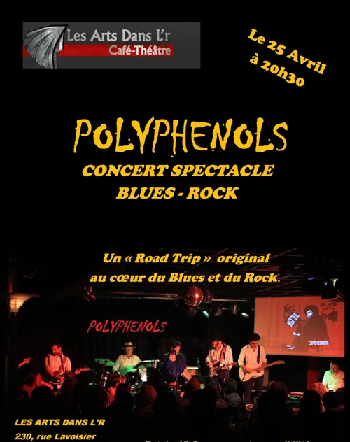 Affiche de Polyphenols : Blues & Rock Story